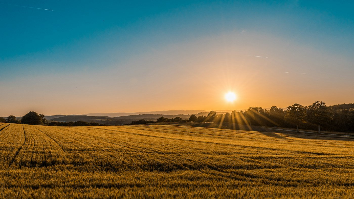 Biomass & biogas